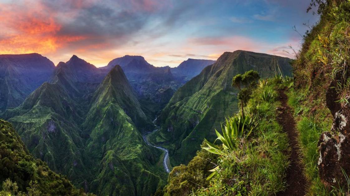 Les Trésors de La Réunion : Découverte avec RUNSHARK