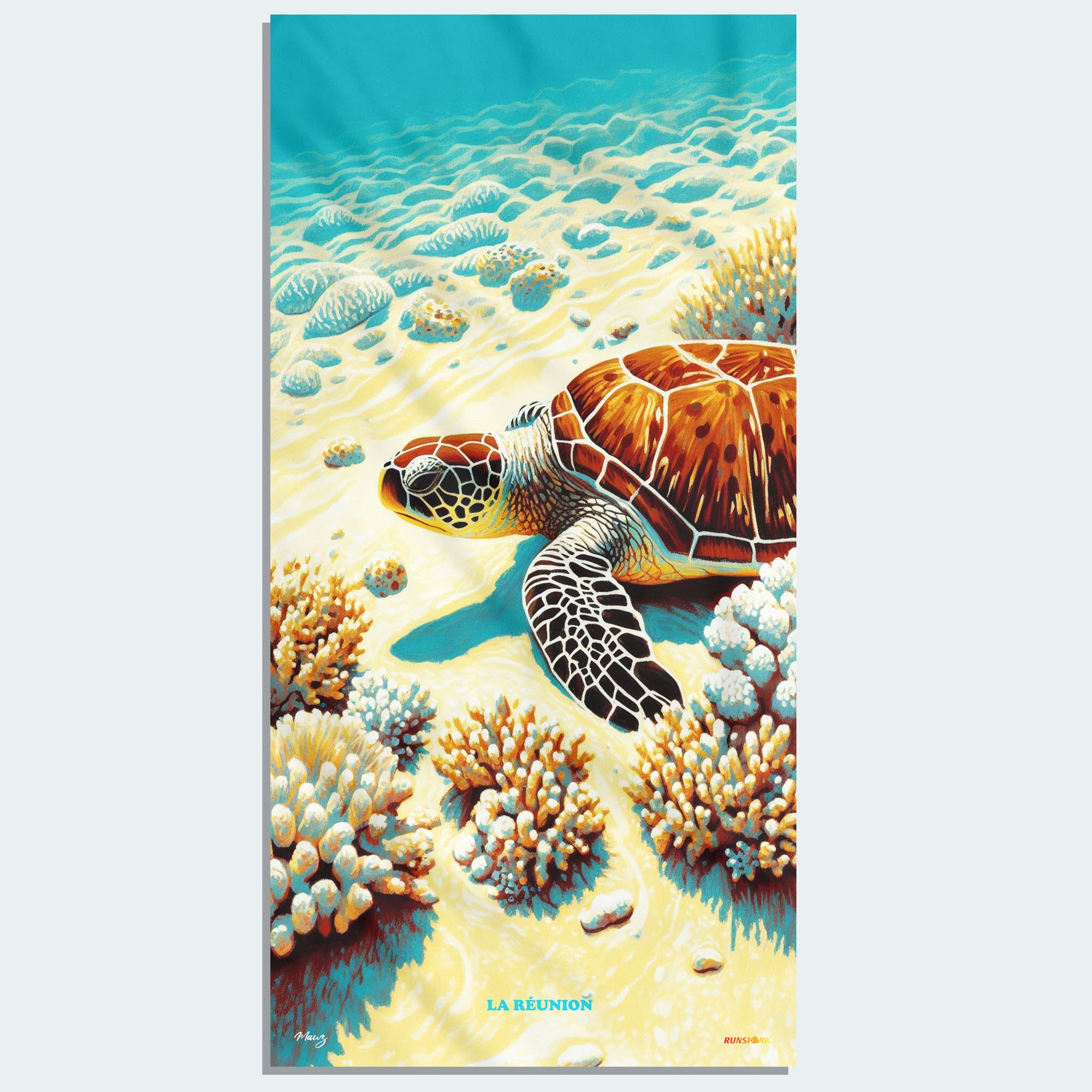 Sand turtle