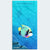 Poisson ange