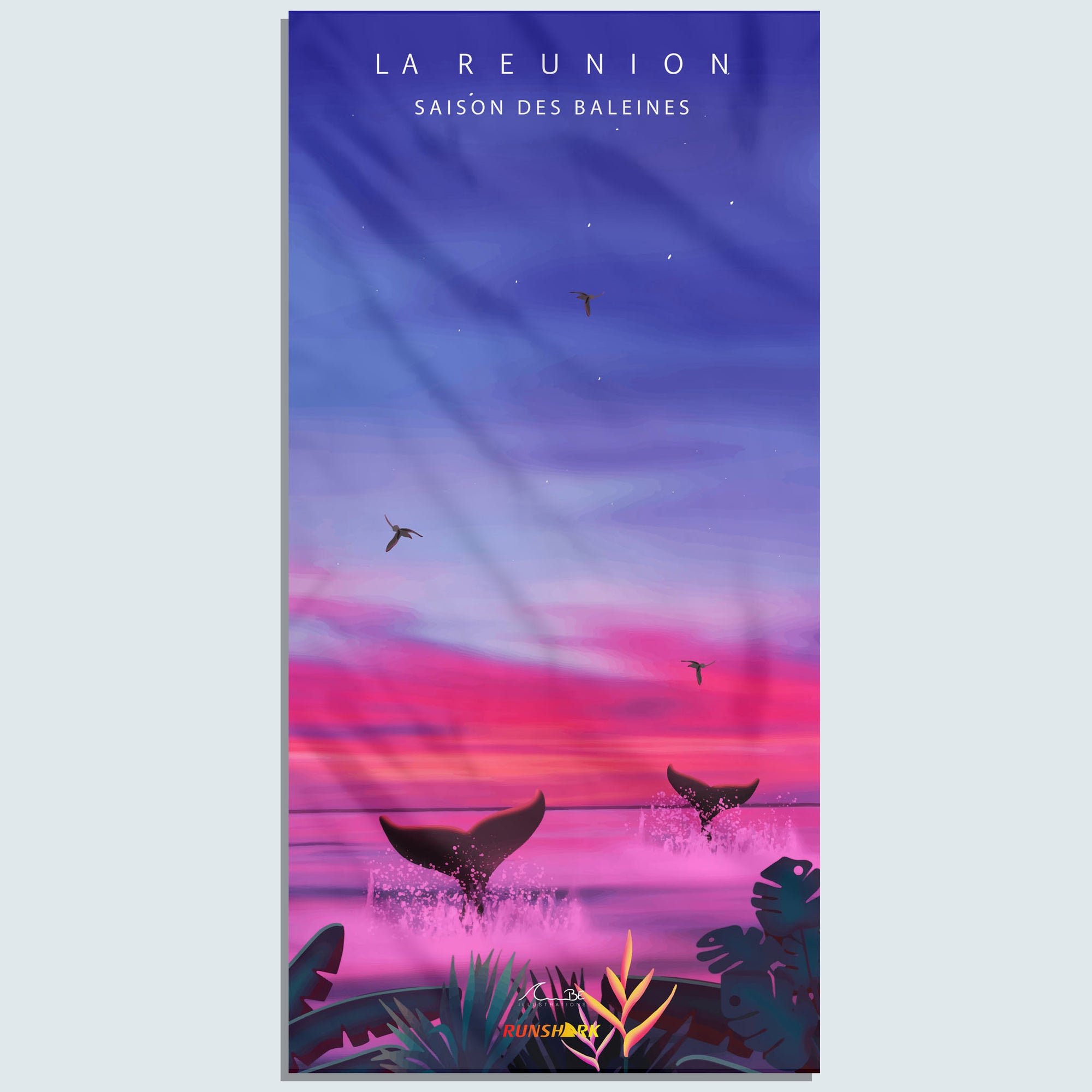 Saison Baleines