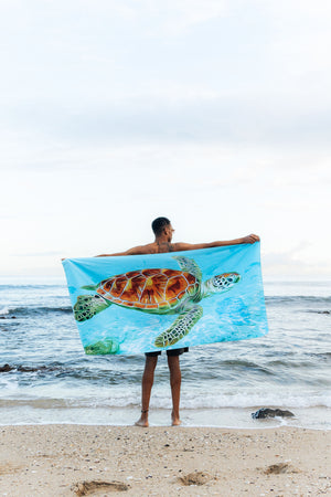 Green turtle