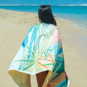 Shell Beach