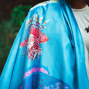 Océan Indien