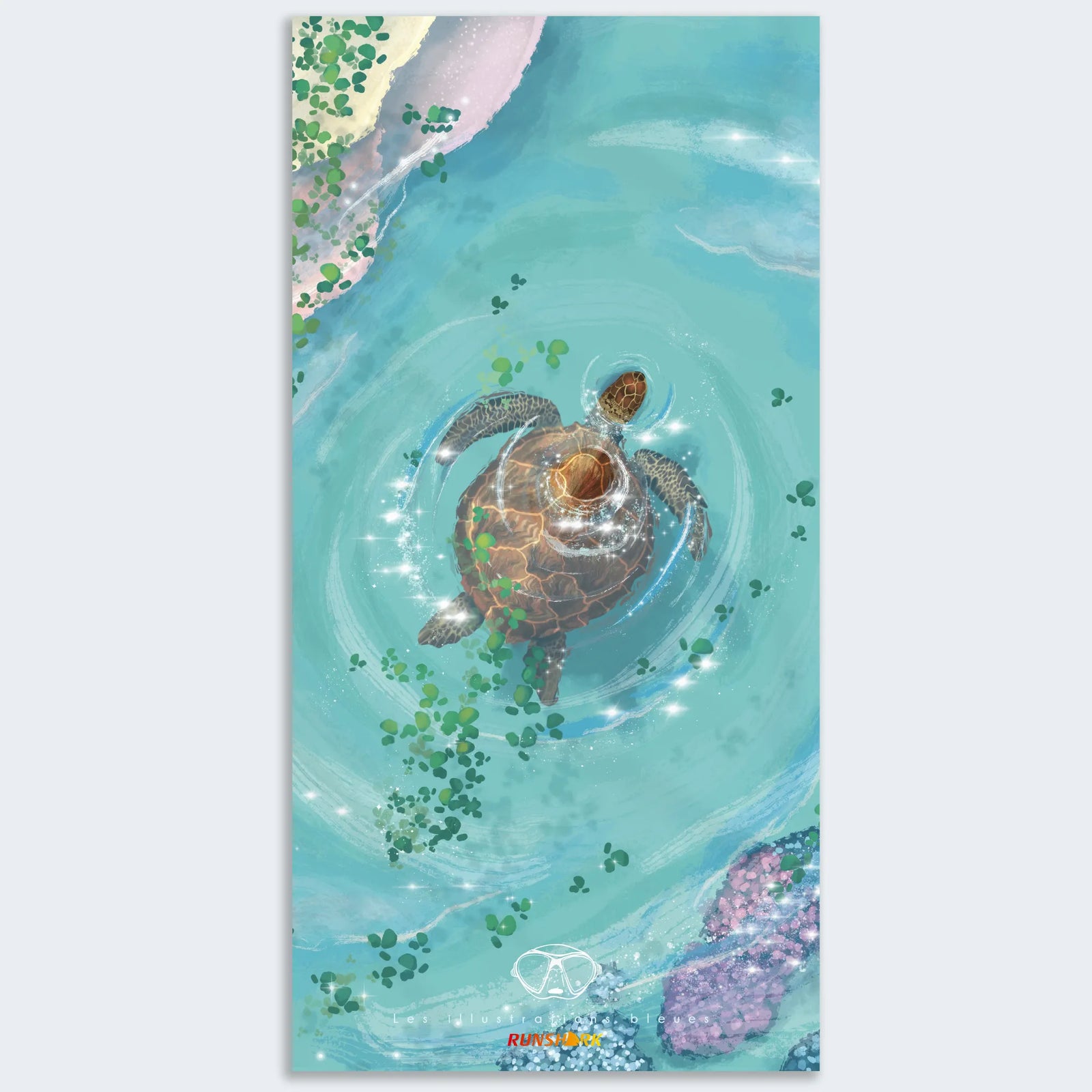 Tropical Turtle